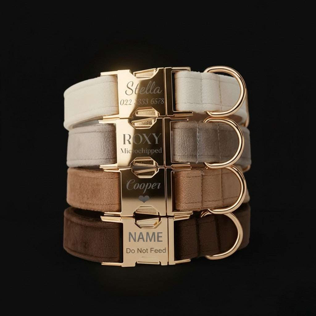 EcoPartyBox® | Eco-Luxury Velvet Pet Collar with Quick-Release Metal Buckle & Microchip-Compatible Nameplate (Custom Engraved)