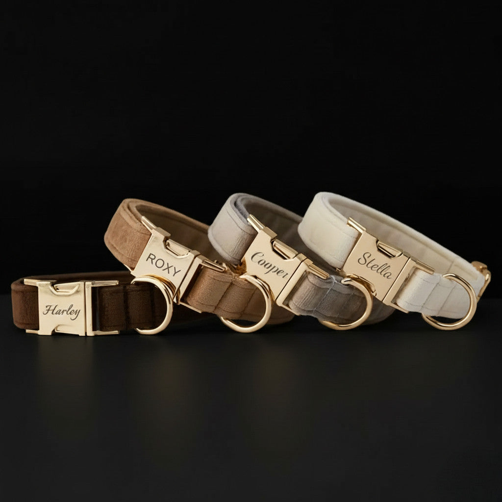 EcoPartyBox® | Eco-Luxury Velvet Pet Collar with Quick-Release Metal Buckle & Microchip-Compatible Nameplate (Custom Engraved)