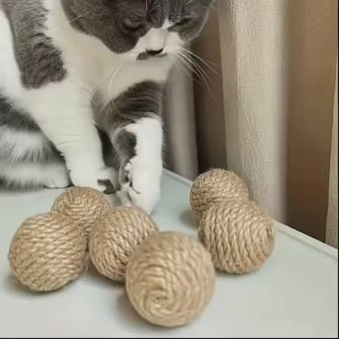 EcoPartyBox® | Eco-Friendly Hemp Rope Pet Toy for Dogs & Cats — Durable, Natural & Biodegradable